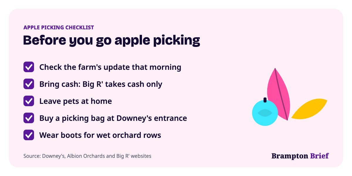 Checklist for apple picking near Brampton: check the farm update, bring cash, leave pets home, buy a bag, wear boots