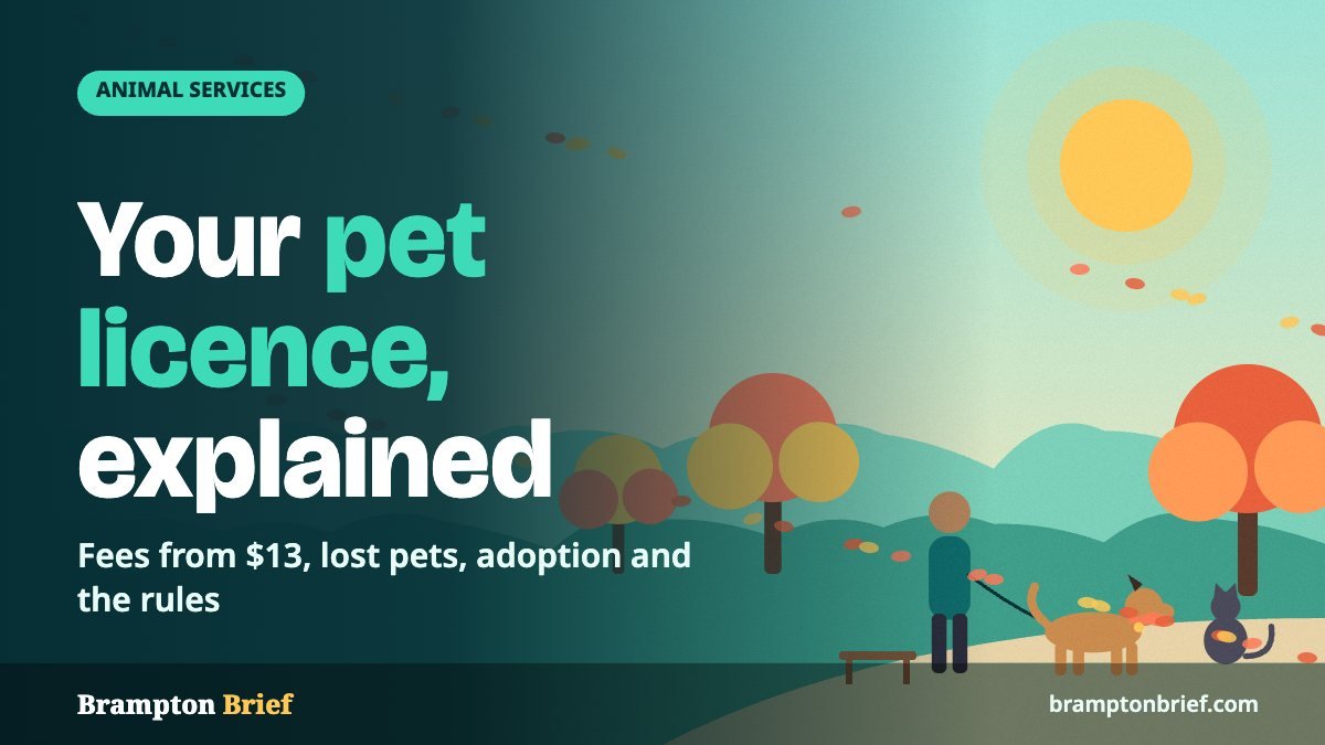 Illustration of a person walking a dog on a leash past a cat in an autumn park, with the headline Your pet licence, explained