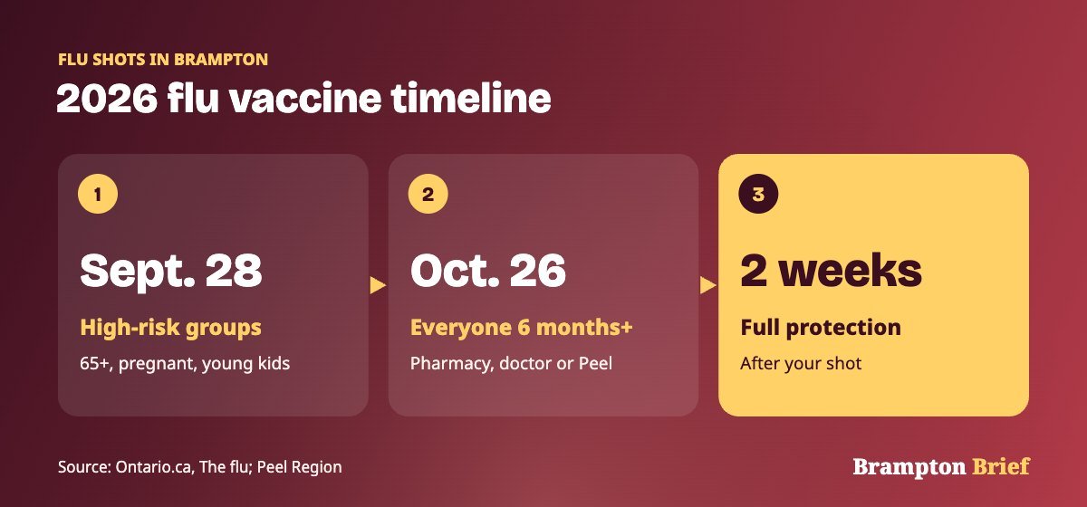 Timeline of flu shots in Brampton 2026: high-risk groups from the week of September 28, everyone 6 months and older from October 26