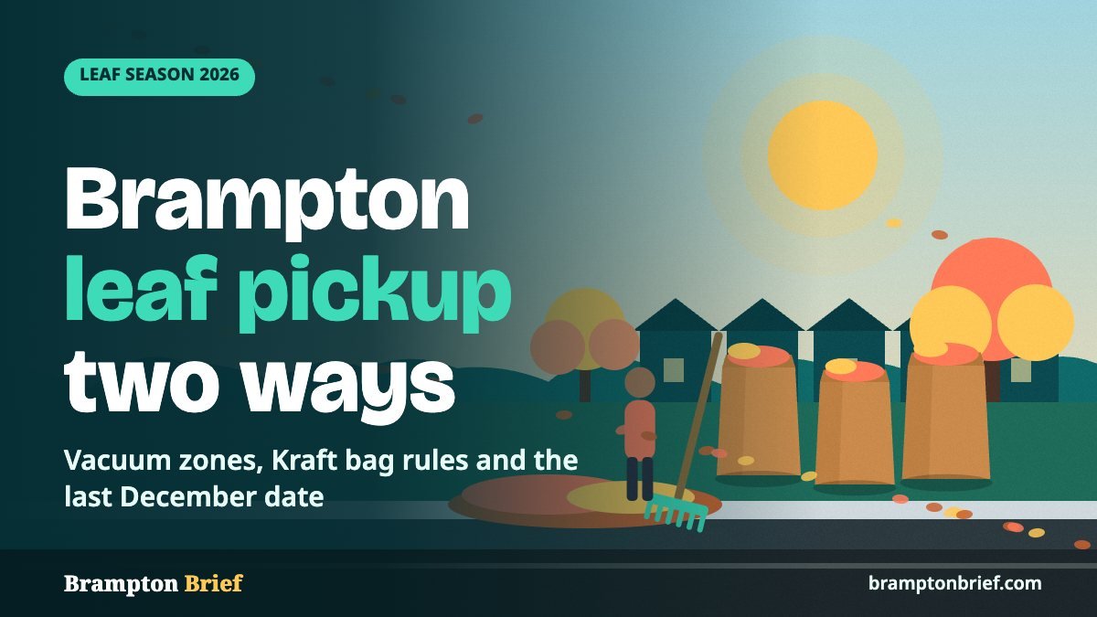 Illustration of brown paper yard waste bags, a rake and a leaf pile at a suburban Brampton curb in autumn