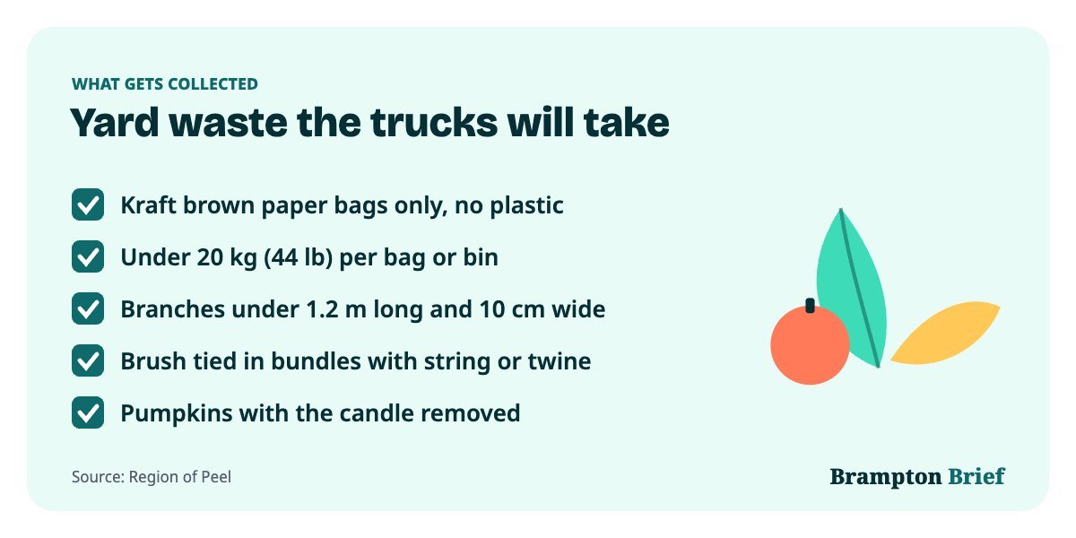 Checklist graphic of Region of Peel yard waste rules including Kraft paper bags only and a 20 kg weight limit