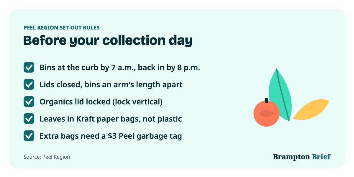 Checklist of Peel Region rules for the Mississauga garbage collection schedule: bins out by 7 a.m. and in by 8 p.m.