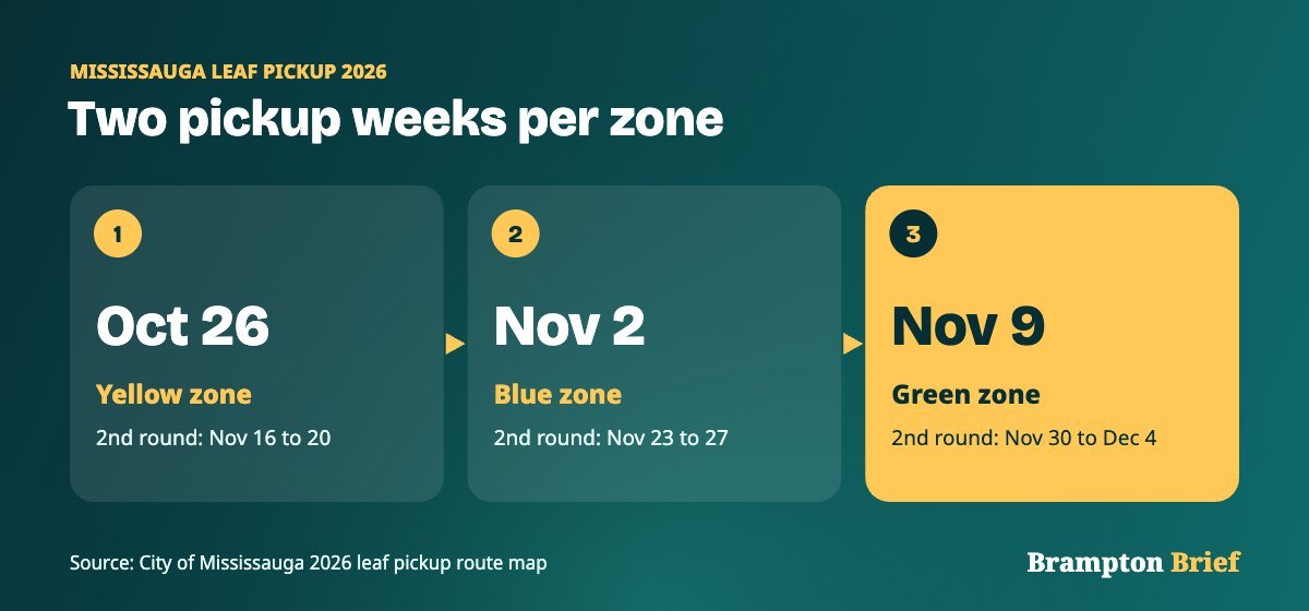 Mississauga leaf pickup 2026 schedule showing first and second collection weeks for the Yellow, Blue and Green zones