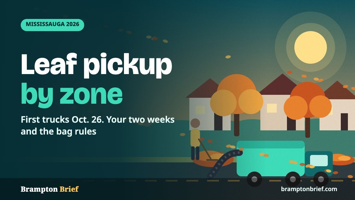 Illustration of a leaf vacuum truck and a person raking leaves to the curb on a tree-lined street in fall, with the headline Leaf pickup by zone